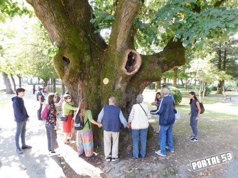Na fotografiji se slijepe osobe i volonteri drže za ruke i grle stoljetno drvo lipe.
