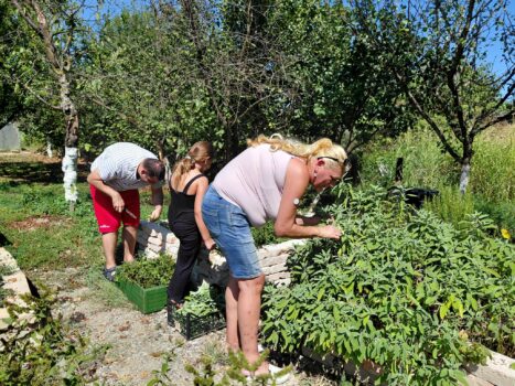 Hortiterapija – učimo, istražujemo i uživamo kroz sva osjetila 